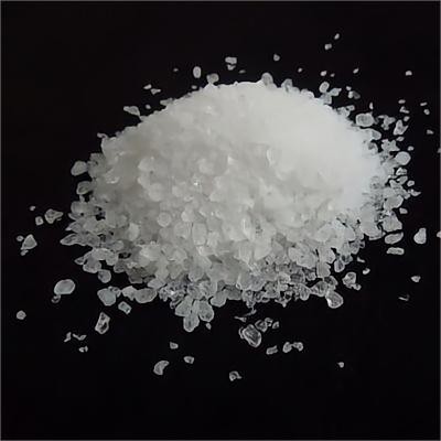 Bolquer per a adults SAP